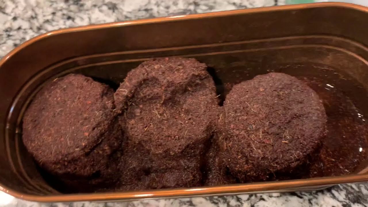 Unlock the Culinary Delights of Indoor Herb Gardens for Cooks