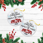 Our First Christmas As A Family Of Tree Version Elephant Personalized Christmas Premium Ceramic Ornaments