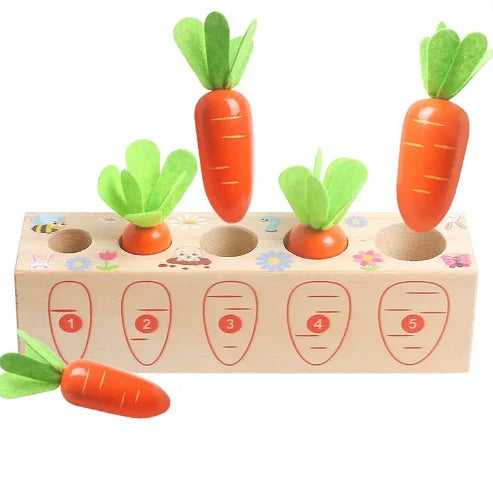 Wooden Carrot Posting Toy, Wooden Toy, Toddler Toy, Montessori Baby Carrot Shape Matching Toys, Educational Toy, Kids Christmas Gift C119